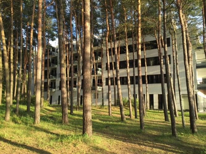 Studio with park view