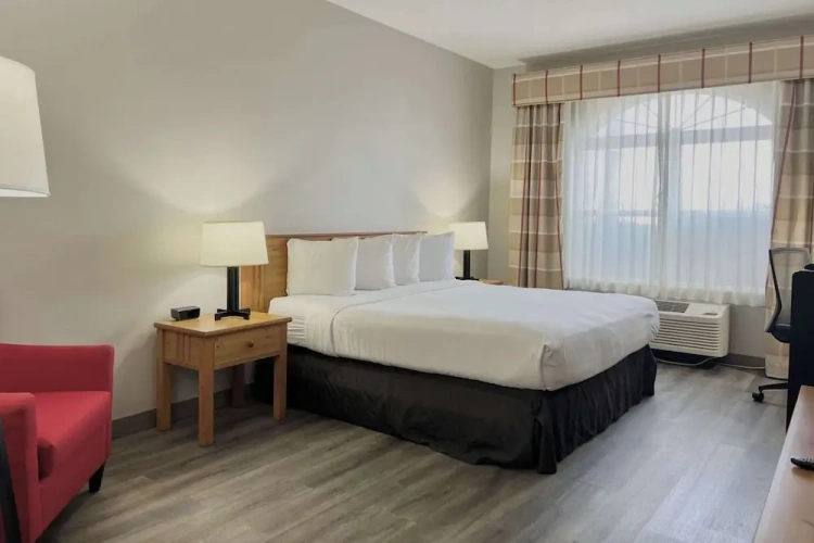 Standard Double room