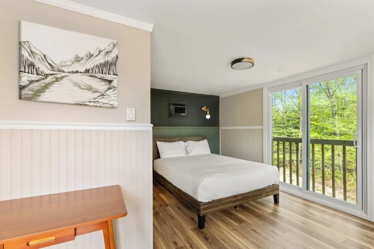 Standard Double room with river view