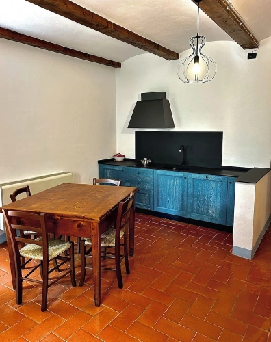 Basement Apartment with garden view