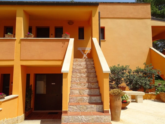 Superior room with balcony and with garden view