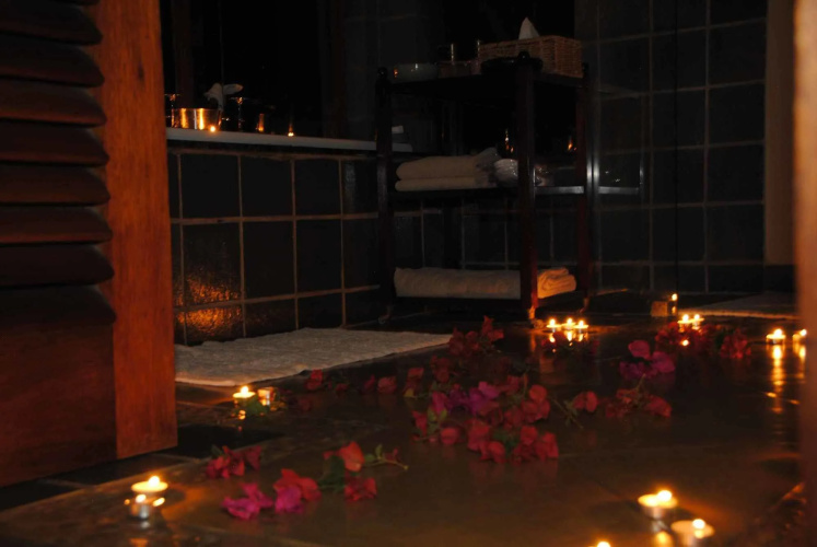 Thornybush Game Lodge
