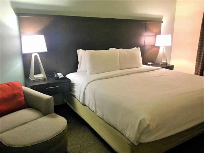 1 Bedroom Double Suite