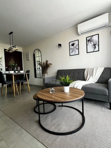 Luxury Apartment