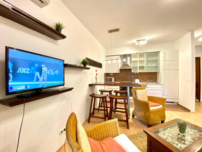 Downtown Vibe-King I apts