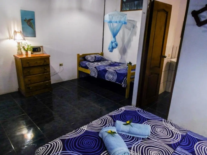 Standard Double room with pool view
