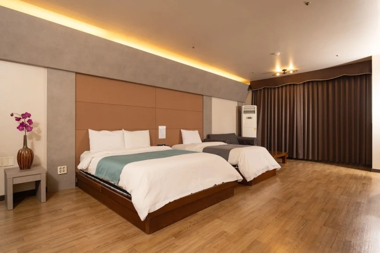 Deluxe Family room