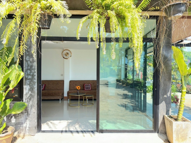 Oasis Phamee