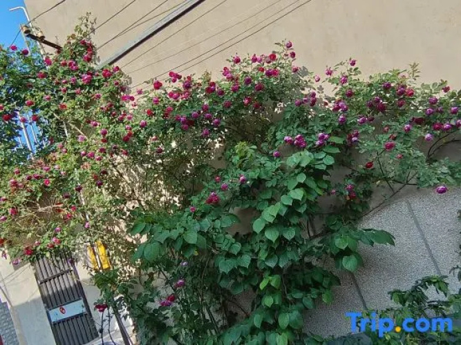Yangzhou Guke Homestay
