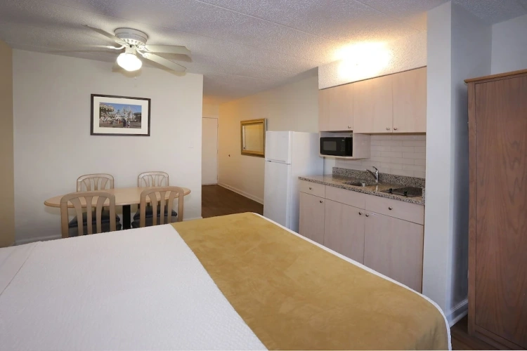 1 Bedroom Classic Quadruple Studio