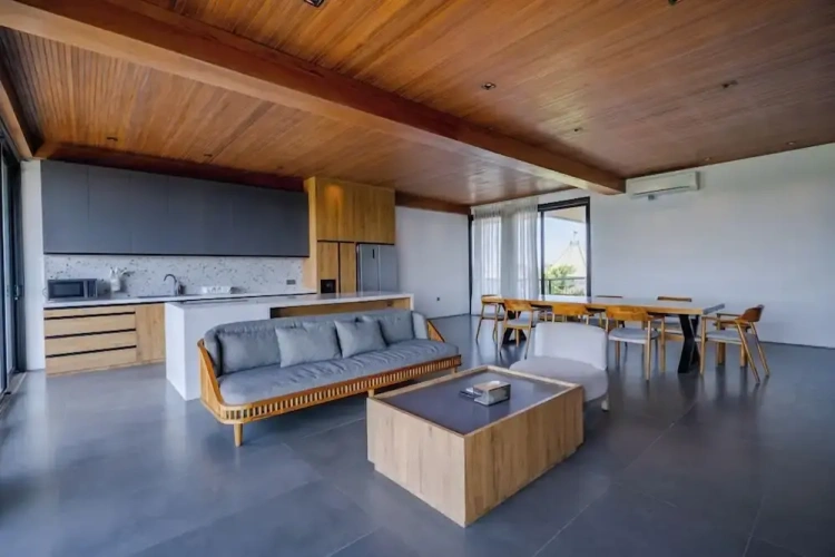 Premium Penthouse room