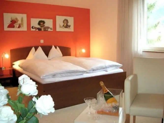 Standard Double room with garden view