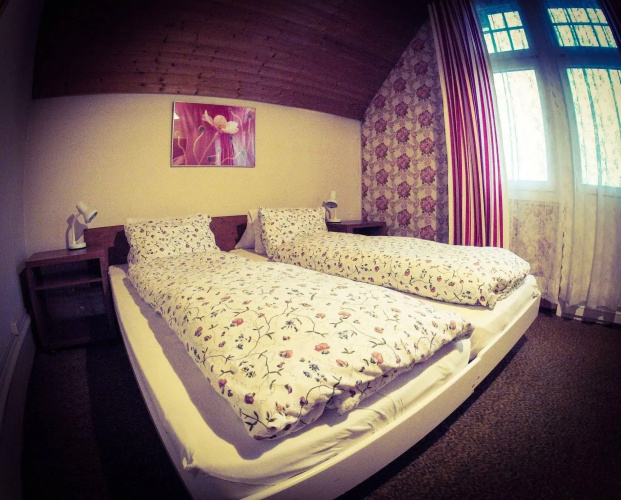 Alpina Hotel