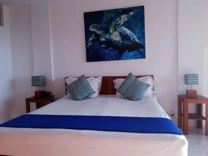Deluxe Double room with balcony