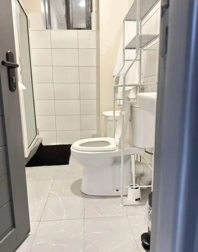 Luxury Apartment