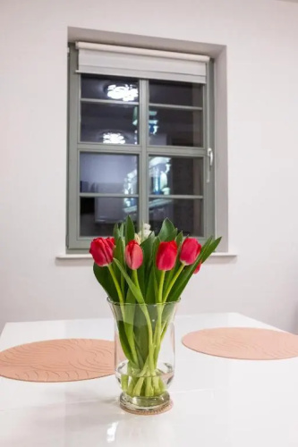 Apartament Rynek Sienny 1