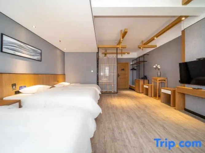 Standard Double room with city view