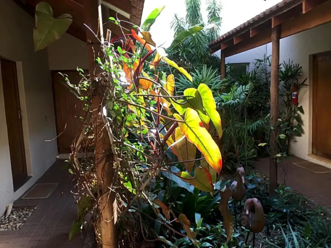 Tropical Paradise
