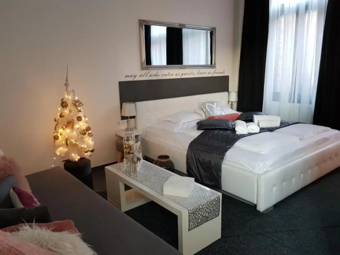 Modern flat in city center