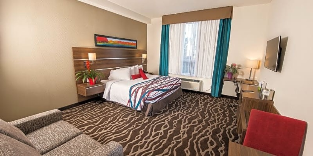 Double Suite