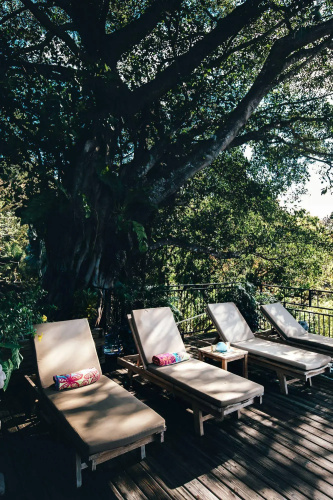 Seagull Cove Resort