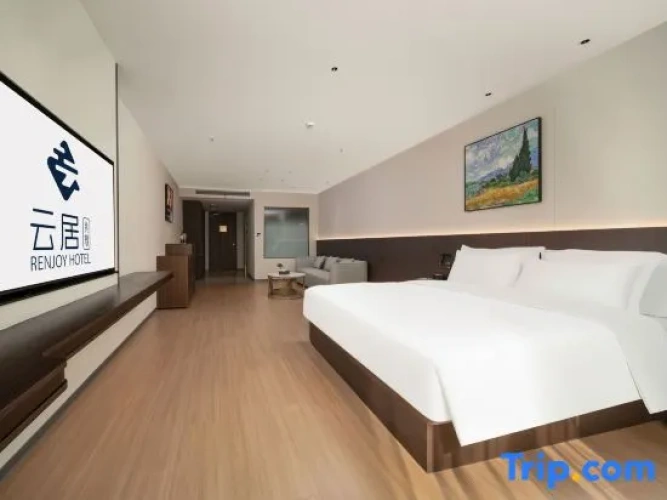 Standard Suite