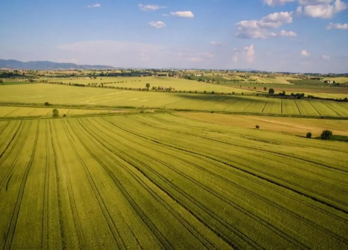Spacious Cortona Villa