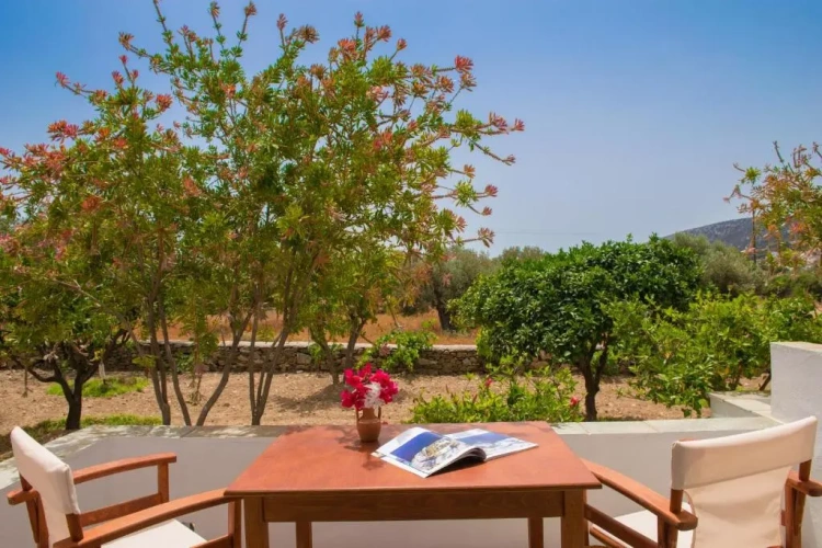 Standard Triple room with garden view