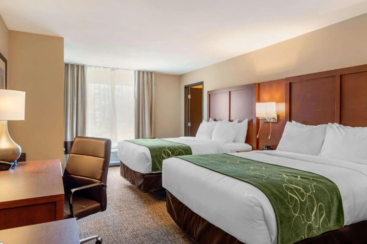 Quadruple Suite