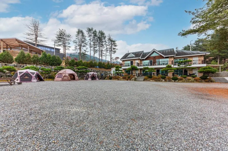 Dorothy's Forest Pension