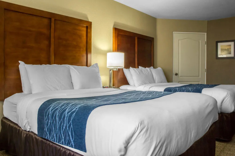 Comfort Inn & Suites At Talavi