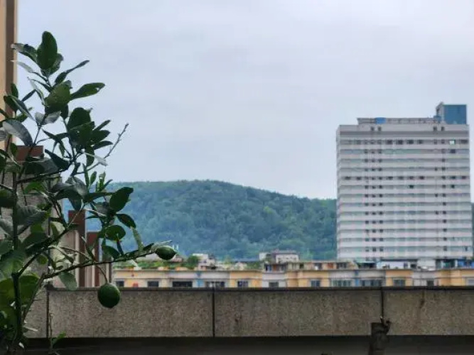 City Courtyard inn