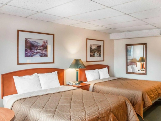 Standard Double room