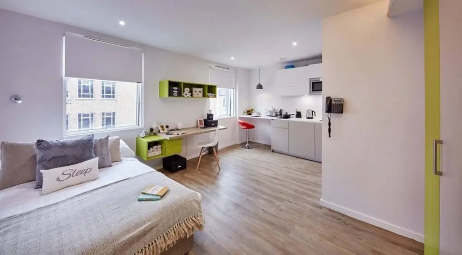 Beautiful Studio In Kingston Area