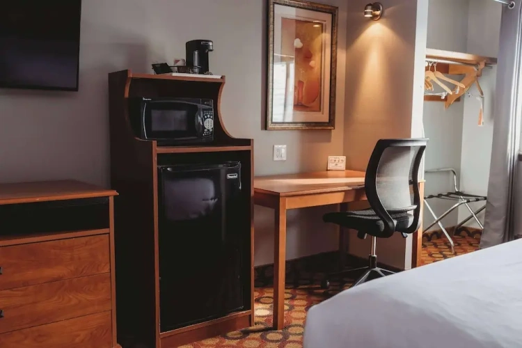 1 Bedroom Suite