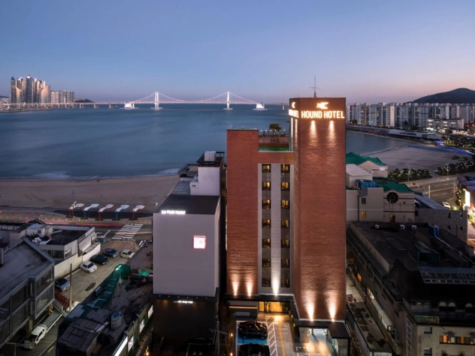 Standard Double room with ocean view