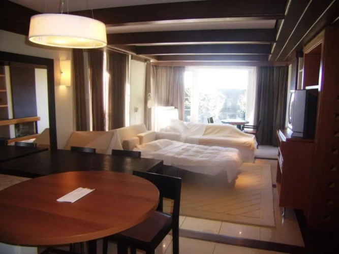 Premium Suite