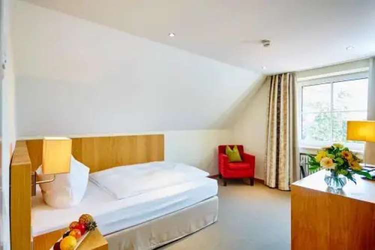 Hotel Falken