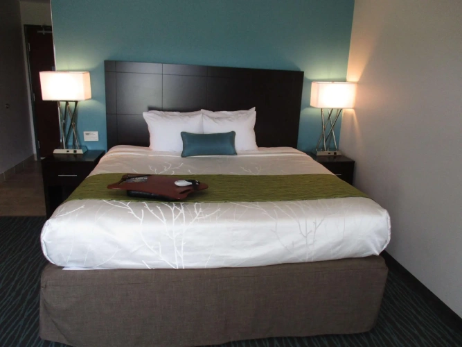 Standard Double room