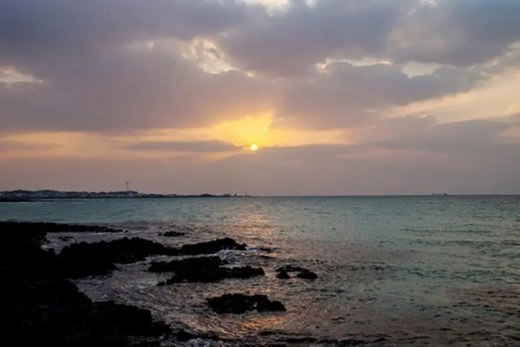 Jeju Island Pension