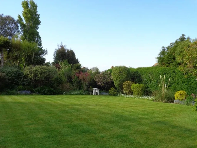 Superior Double room with garden view