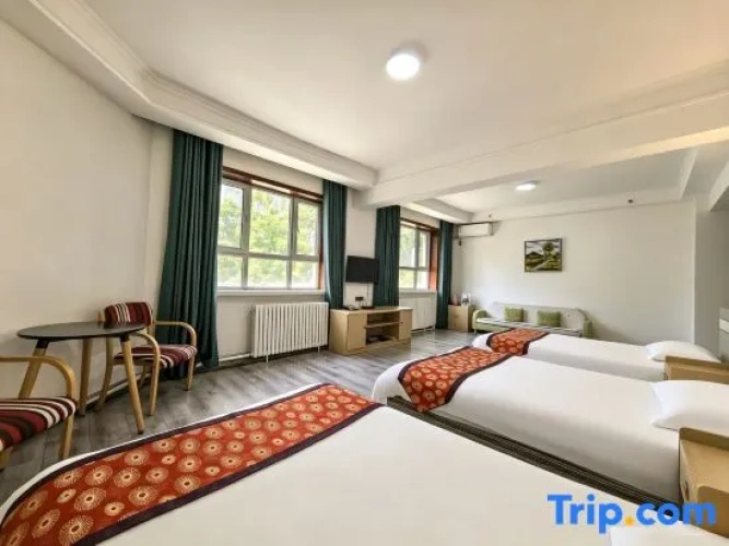 Premium Twin Family room