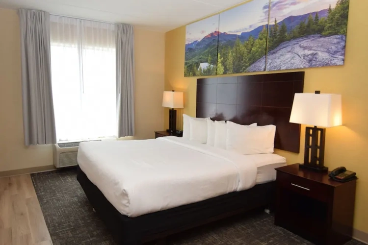 Standard Double Suite