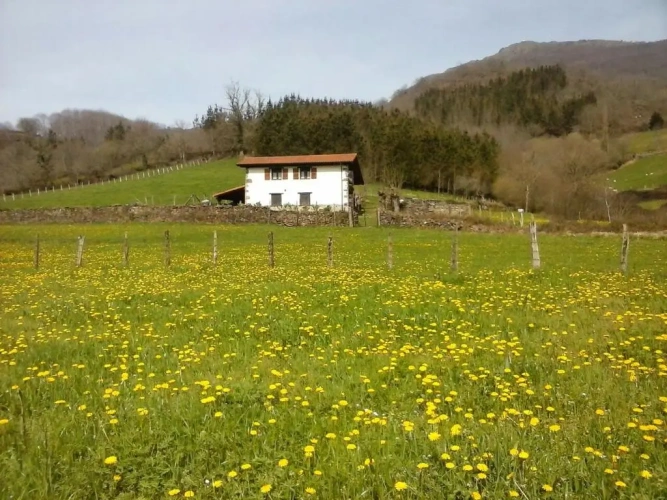 4 Bedrooms Cottage