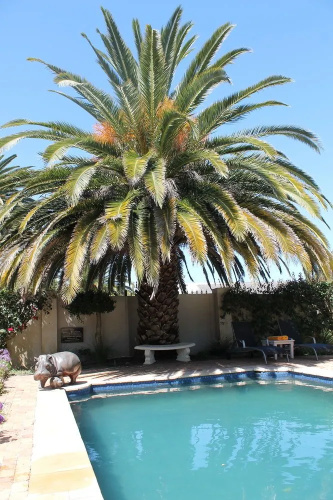 Stellendal Guesthouse