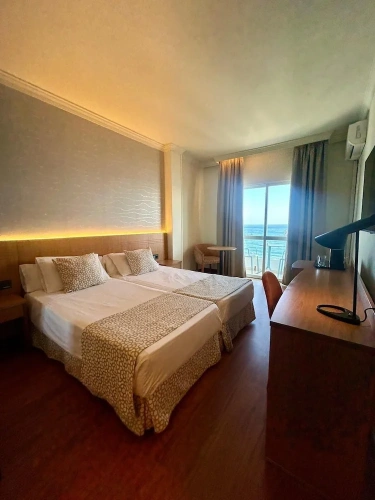 Standard Double room with balcony and with sea view