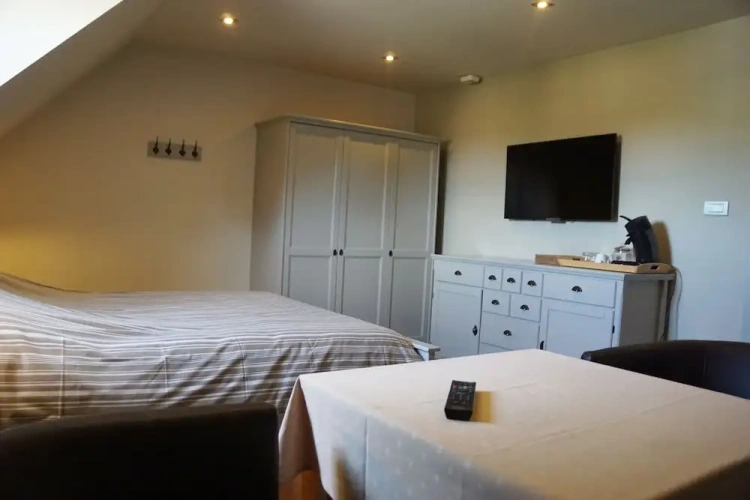 Comfort Single room