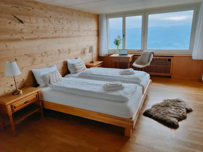Deluxe Double room with lake view