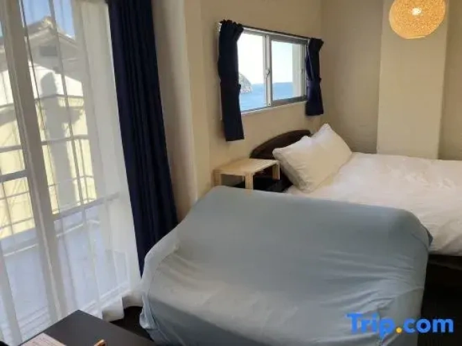 Standard Double room with ocean view