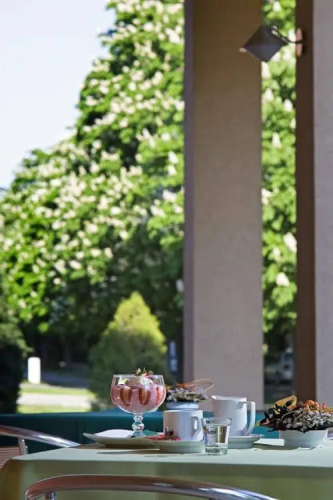 Termálhotel Martfű